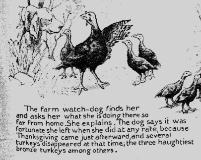 turkey story 5