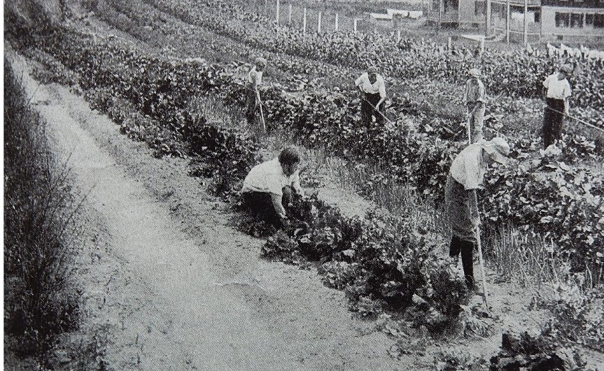 Photo Caption: The second years they grew all the common and some of the uncommon vegetables. 